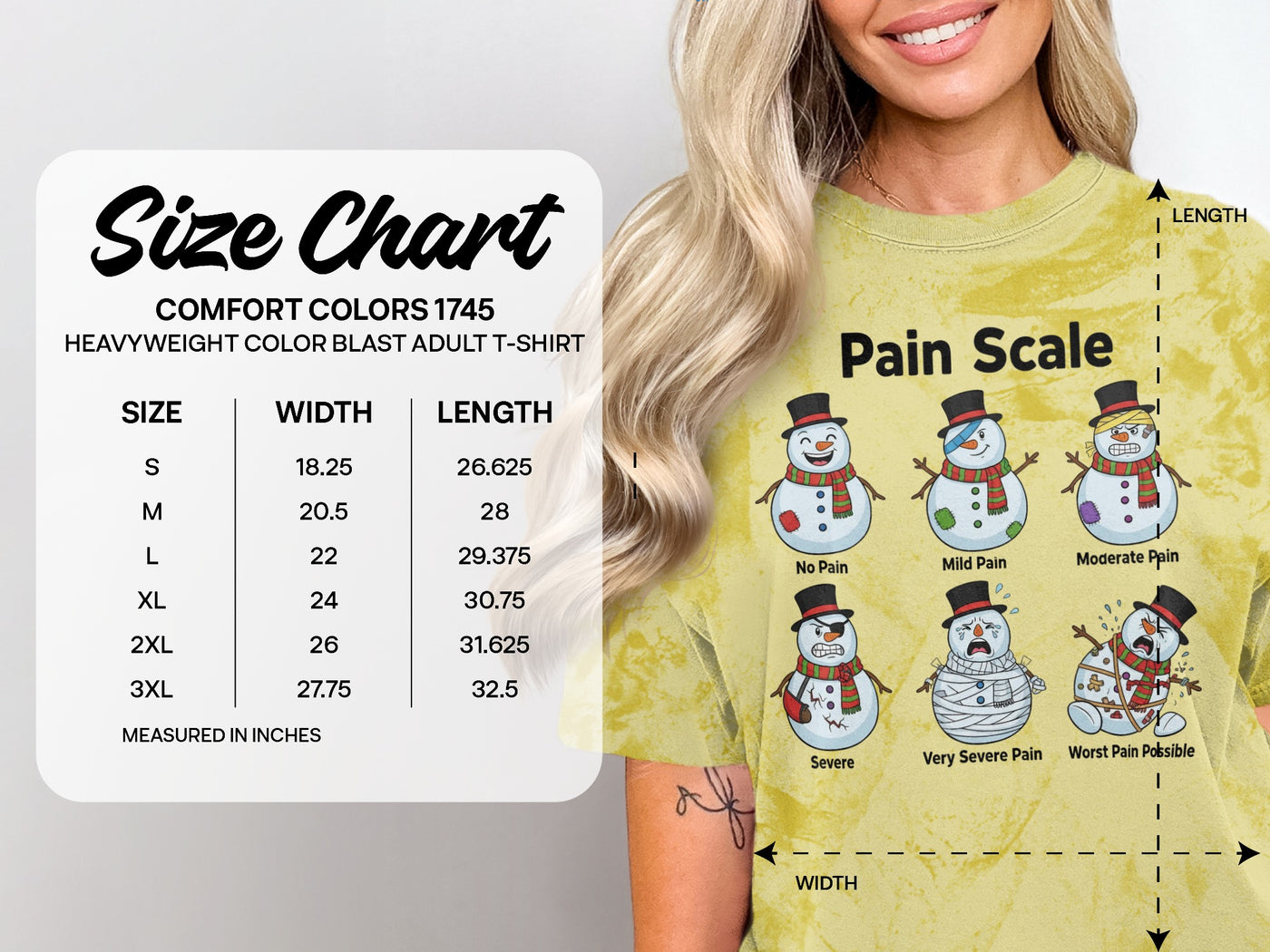 Fun Snowman Design Pain Scale T-Shirt for Adults