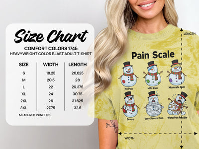 Fun Snowman Design Pain Scale T-Shirt for Adults