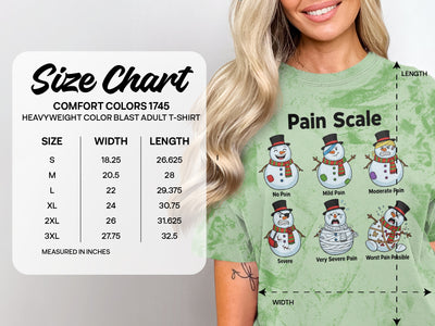 Pain Scale Funny Snowman Heavyweight Adult T-Shirt