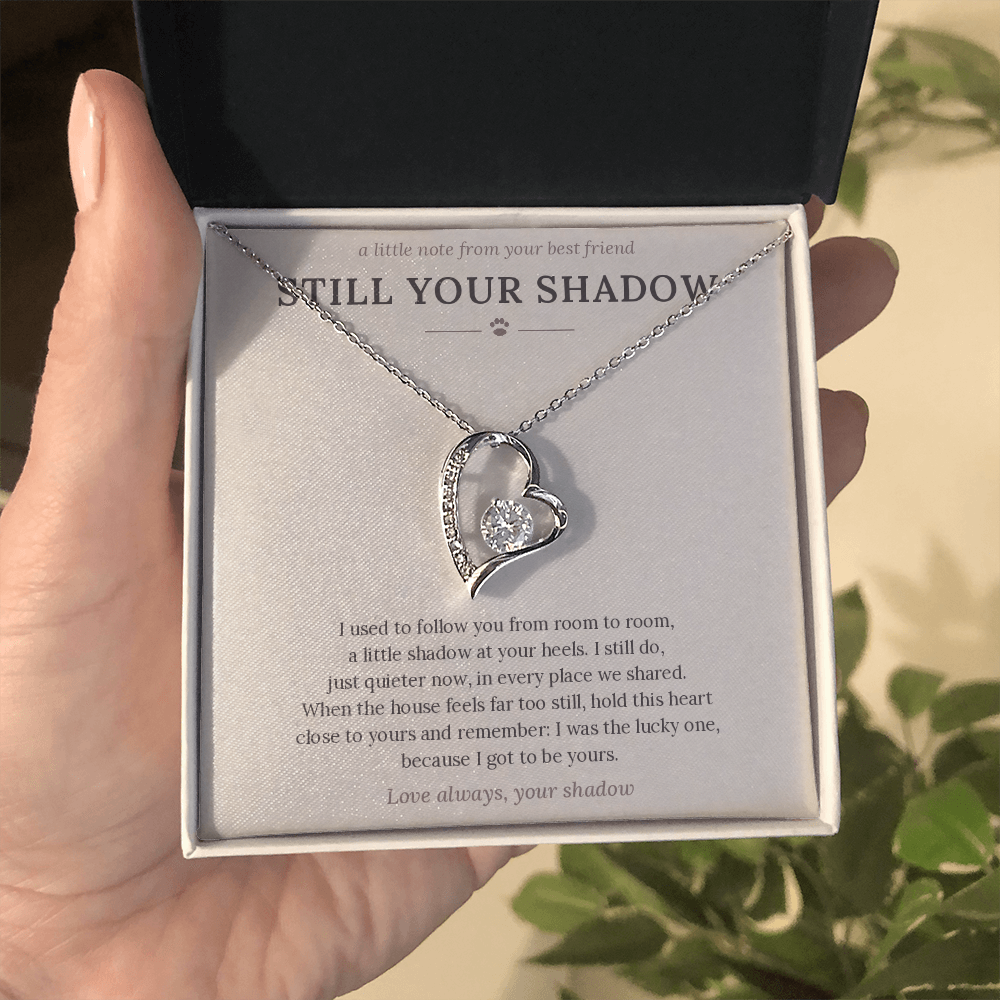 In memory of dog necklace held in gift box