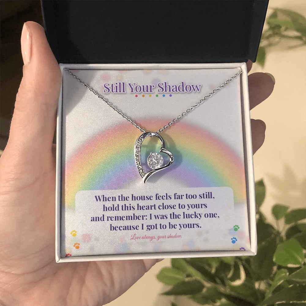 Loss of dog gift held in gift box with rainbow sympathy card